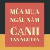 Mùa Mưa Ngâu Nằm Cạnh