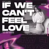If We Can't Feel Love Essbee Club House Mix