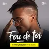 About Fou de toi Song