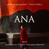 About Ana Song