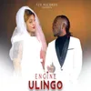 About Ulingo Song