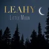 About Little Moon Song