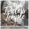 About Timeless Temple Song