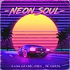 About Neon Soul Song