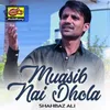 About Munasib Nai Dhola Song