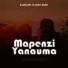 About Mapenzi Yanauma Song