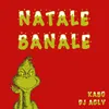 About Natale banale Song