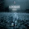 About A domani Song