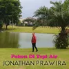 About Pohon Di Tepi Air Song