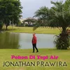 Pohon Di Tepi Air