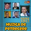 Muzica De Petrecere 2021