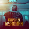 About Mapenzi Mshumaa Song