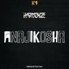 About Anajikosha Song