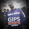 About Briiips, vol. 2 Song