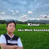 About Aku Mbok Sepelekke Song