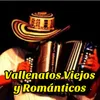 About Vallenato Viejo y Romántico Song