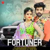 About Fortuner Song