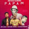 About Papam Refix Song