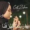 About يَا رَبَّنَا اعْتَرَفْنَا Song