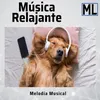 Musica Tranquila