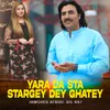 About Yara Da Sta Stargey Dey Ghatey Song