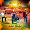 About Huaraches de Araña Song