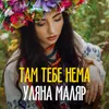 About Tам тебе нема Song