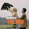 About Kesandung Tresno Song