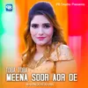 About Toba Toba Meena Soor Aor De Song