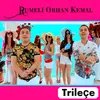 About Trileçe Song