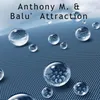 About Attraction Song