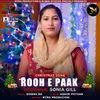 About Rooh E Paak Song