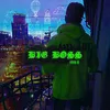 About Big Boss Song