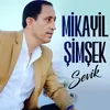 About Sevik Song