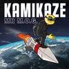 About Kamikaze Song