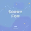 Sorry For