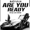 Are You Ready PAW JAR Remix