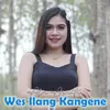 About Wes Ilang Kangene WIK Song