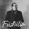About Füzulim Song