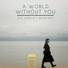 About A World Without You Song