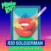 About Love Stimulator Song