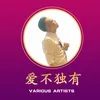 About 爱不独有 Song