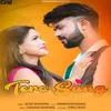 About Tere Sang Song