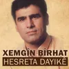 Hepsa Diyarbekir