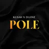 About Pole Song