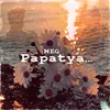 About Papatya Song