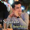 About Sepurane Song