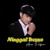 About Ninggal Tresno Song