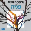 ניגונים