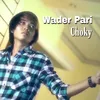 About Wader Pari Song